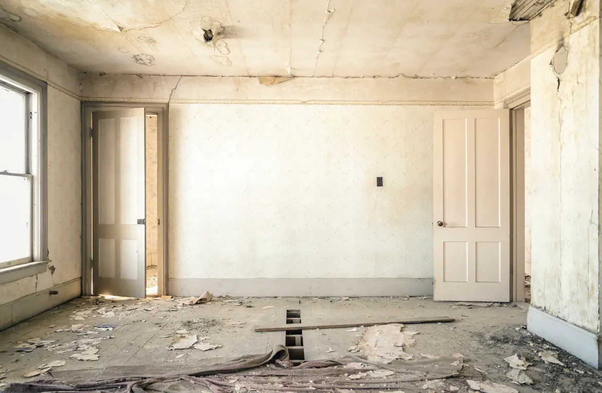 Waste disposal crew managing a cleanout project in Lacy-Lakeview